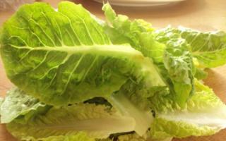Американский салат «Кобб» — рецепт приготовления Салат 